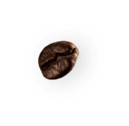 demo-attachment-28-coffee-beans-P4MXYZD2-1